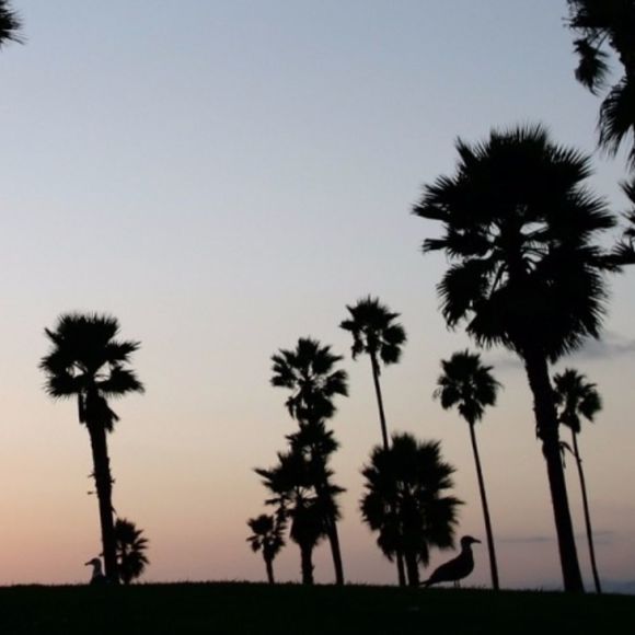 Meet your Posher, Roxy - Picture 1 of 1